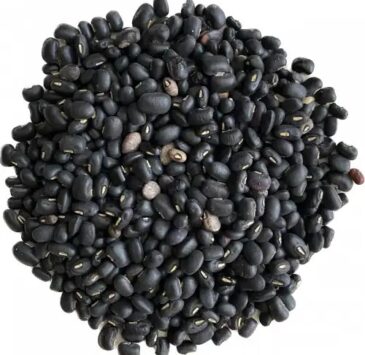 Black-Gram