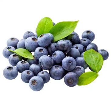 Blue-Berry