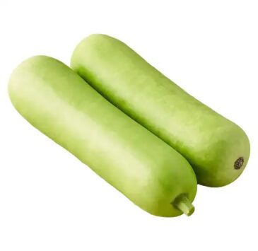 Bottle-Gourd