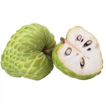 Custard-Apple