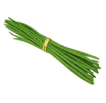 Drumstick