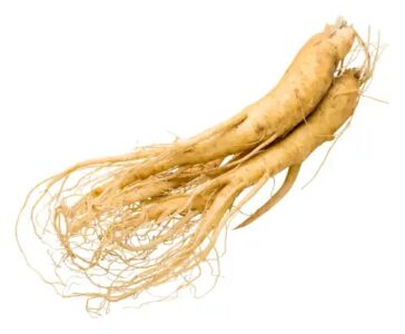Ginseng