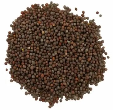 Mustard-Seeds