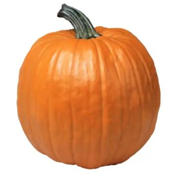 Pumpkin