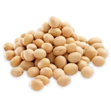 Soybean