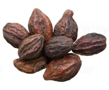 Terminalia-Chebula
