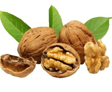 WALNUT